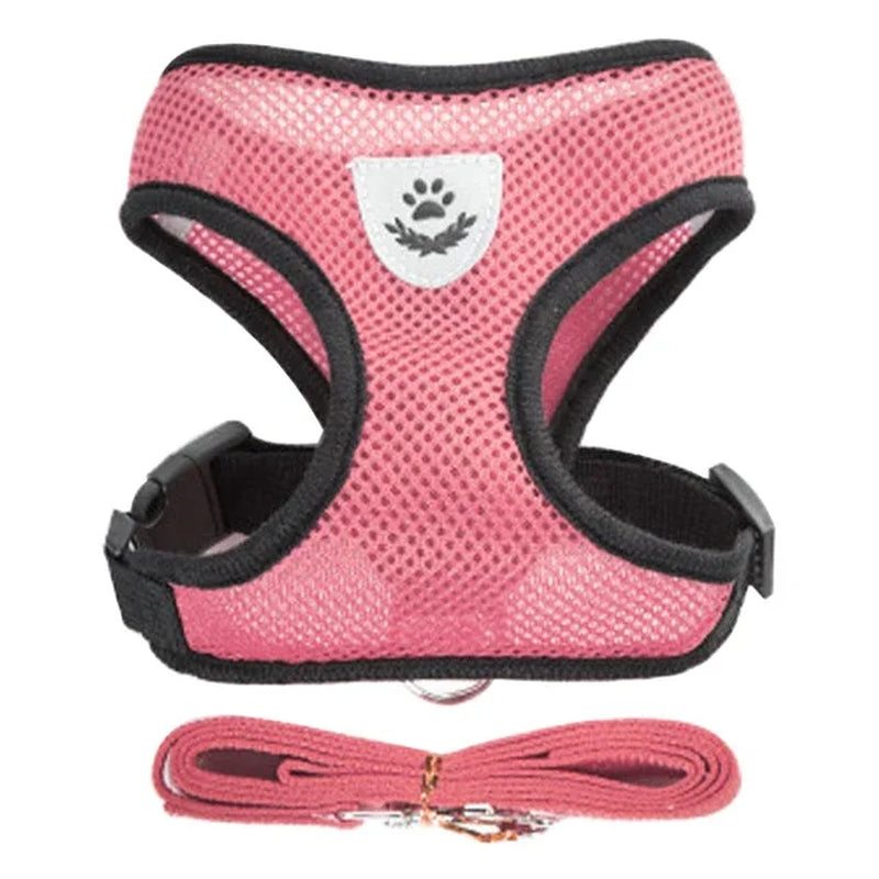 Adjustable Pet Harness 