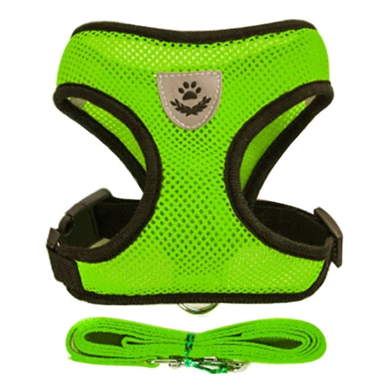 Adjustable Pet Harness 