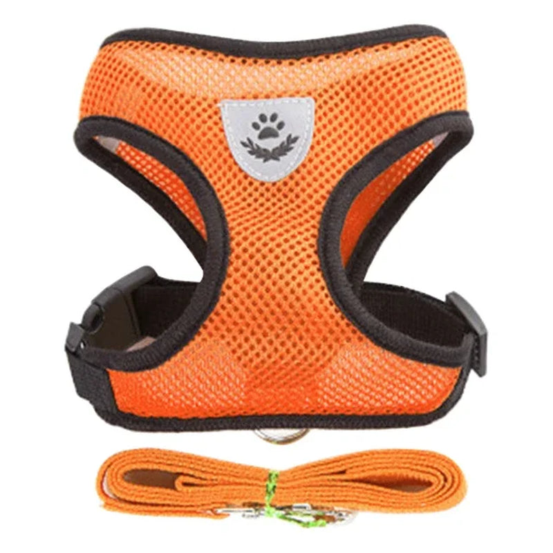 Adjustable Pet Harness 