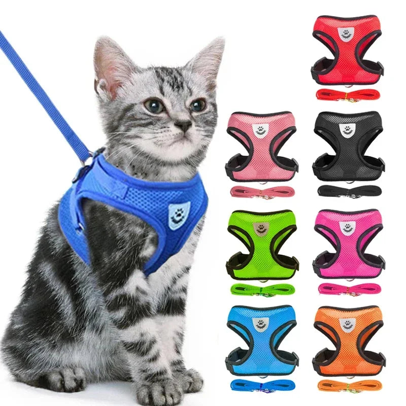 Adjustable Pet Harness 