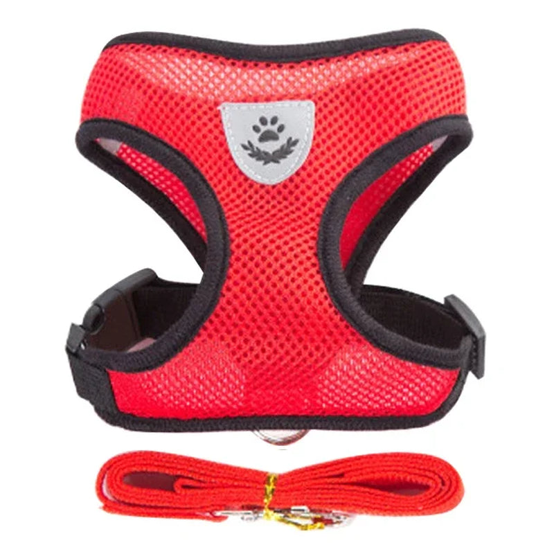 Adjustable Pet Harness 