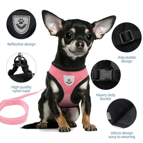 Adjustable Pet Harness 