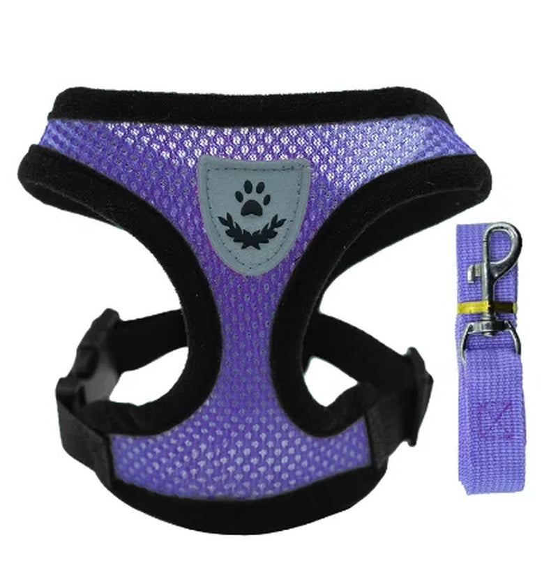 Adjustable Pet Harness 